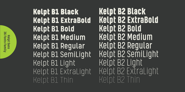 Пример шрифта Kelpt Sans B1 Extra Bold Italic